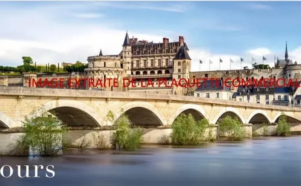 Achat : Appartement Tours (37100)