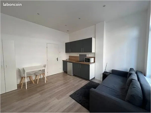 Appartement 1 pièce 19 m²