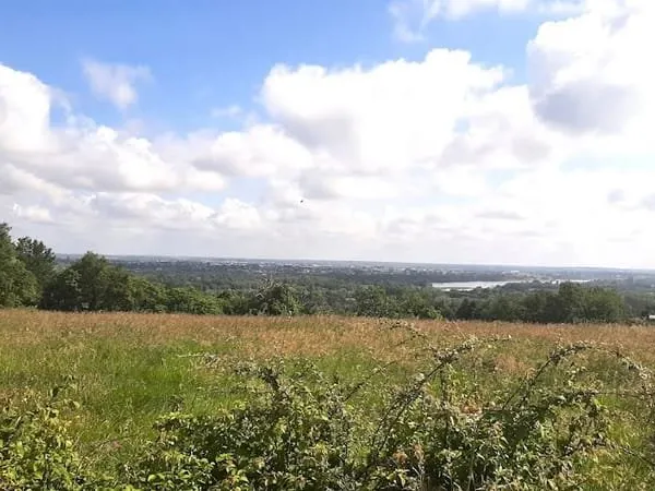 Terrain 597 m²