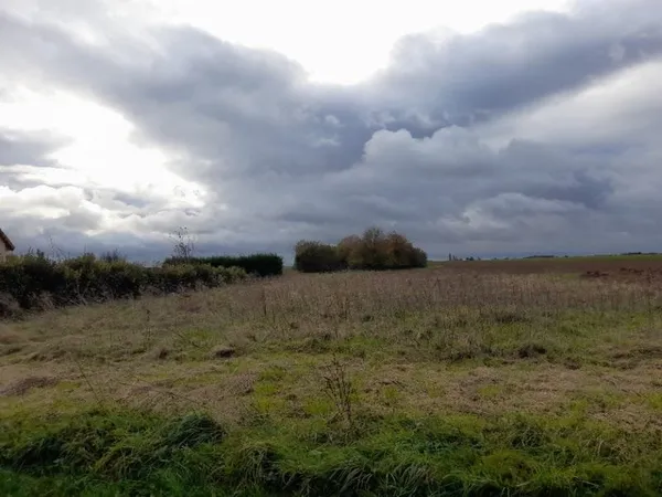 Terrain 981 m²