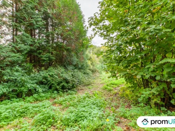 Terrain de loisir 1600 m²