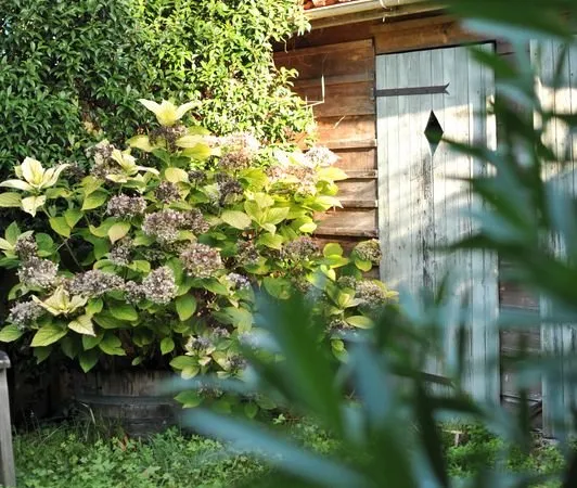 Maison en pierre 135 m²