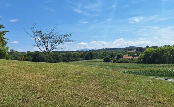 TERRAIN BASSUSSARRY