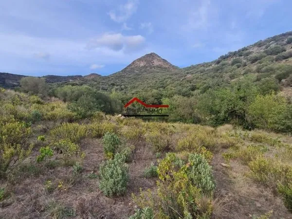 Terrain 10225 m²