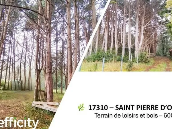 Terrain 135 m²