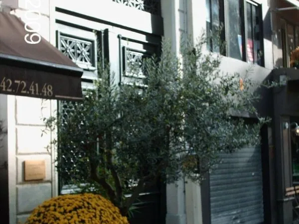 Local commercial 36 m²