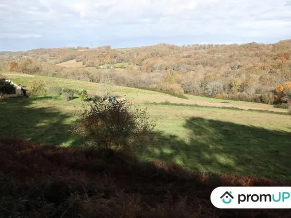 Terrain 1633 m²