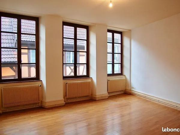 Appartement F2 lumineux-Centre-ville de Barr