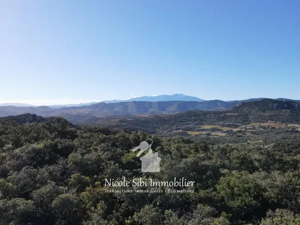 Forêt de chênes verts à Rasiguères