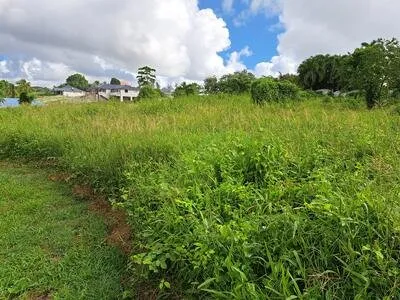 LAMENTIN -DUROCHER 1 169m² PLAT DANS CADRE RESIDENTIEL