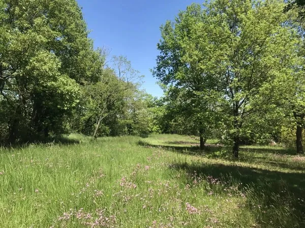 Secteur AUTERIVE - Terrain 2200 m²