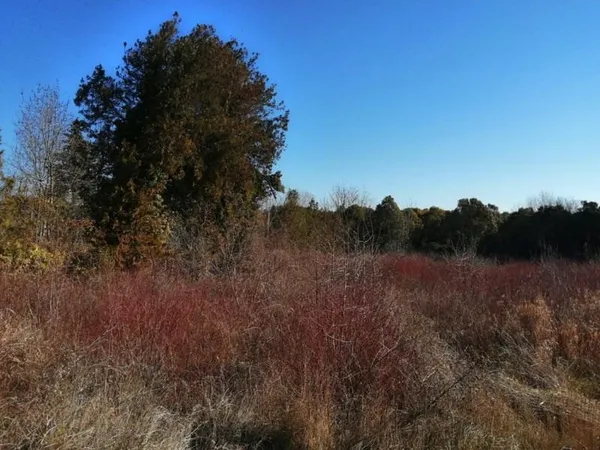 Terrain plat 300m²