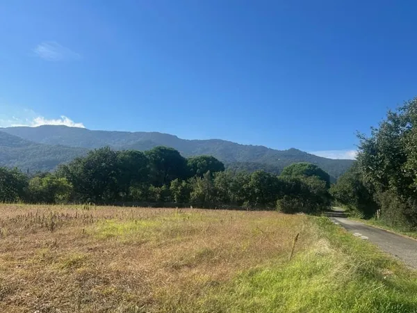 Bien agricole et foncier Vente Argelès-sur-Mer  3715m² 30863€