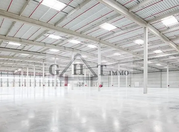 ENTREPOT 50 000 M² A LOUER GRETZ