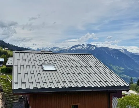 Chalet individuel à vendre à Bisanne 1500