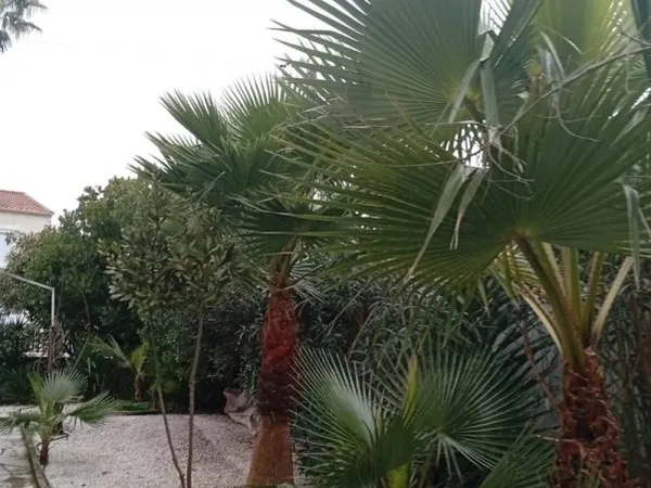 A VENDRE : VILLA DE 145M² AVEC JARDIN A AGDE