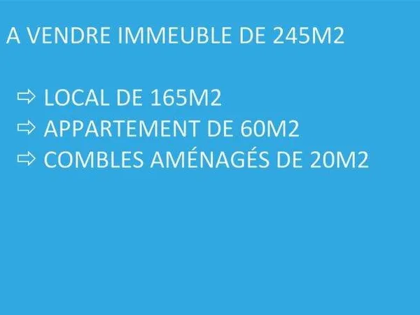 Local commercial 245 m²