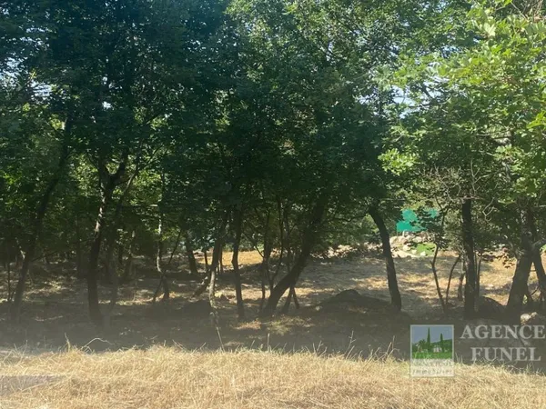 Terrain 1481 m²