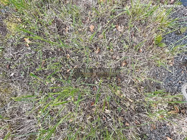Terrain 1234 m² PLERIN
