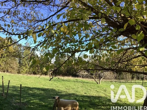 Terrain constructible 1983 m²