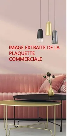 Achat : Appartement (94320)