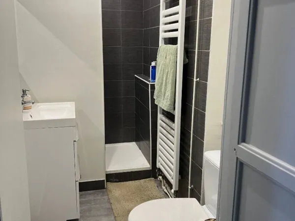 Appartement Saint Etienne 2 pièce(s) 44 m2