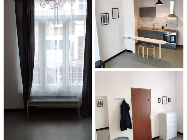 Appartement proche place Lafayette (fontaine 🐸)