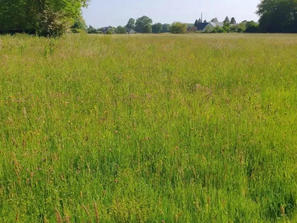 Terrain 910 m²