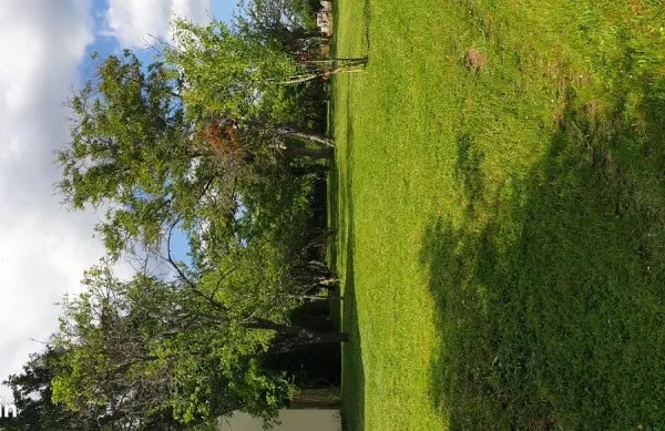 Terrain constructible