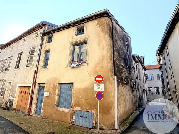 TOUL - Immeuble 2 appartements indépendants 170 m2 Idéal