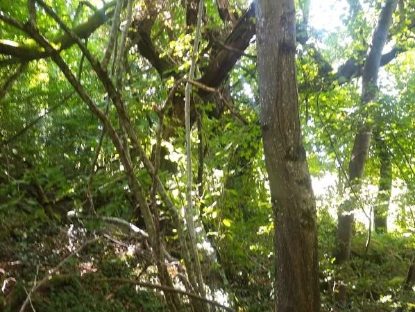 Terrain de loisirs
