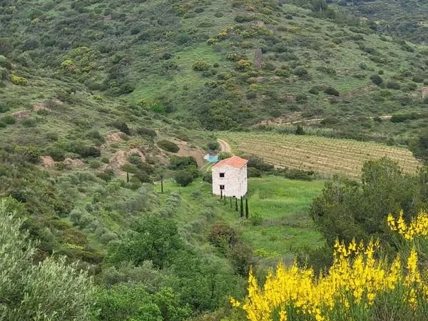 Terrain agricole 4.3 ha avec mazet