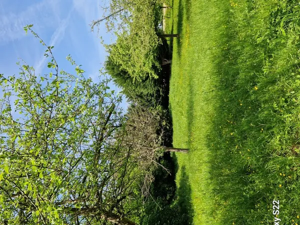 Vends terrain 6254m²