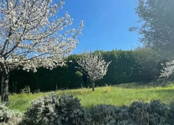 Terrain 550 m²