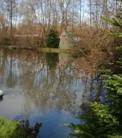 Terrain avec étang