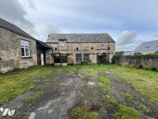 Local 286 m²
