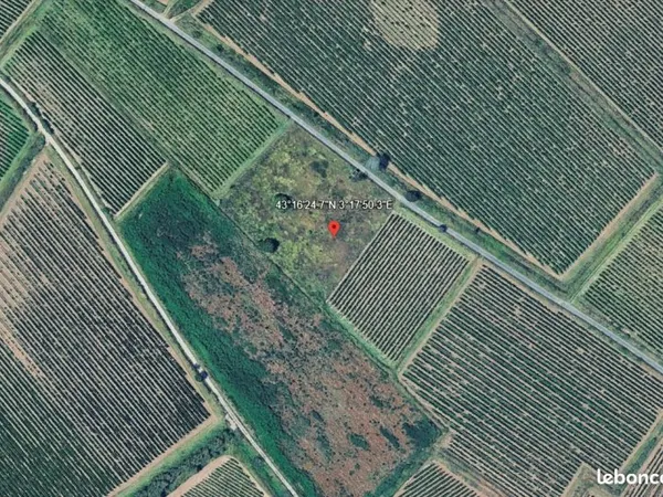 Terrain au milieu de vignes, avec cabanon, puits d'eau potable, proche des plages