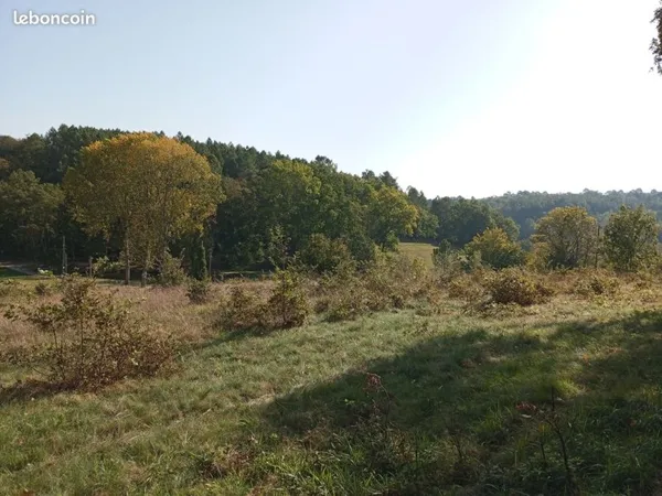 Terrain constructible