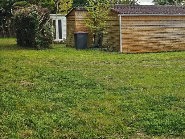 Beau Terrain Arboré