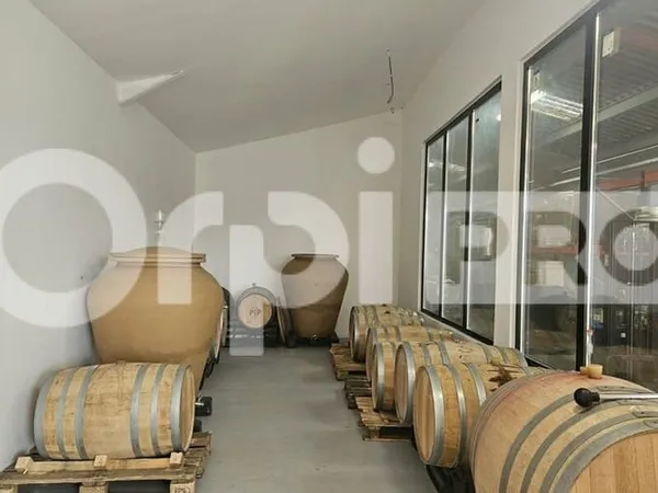 Local d'activité 218 m²