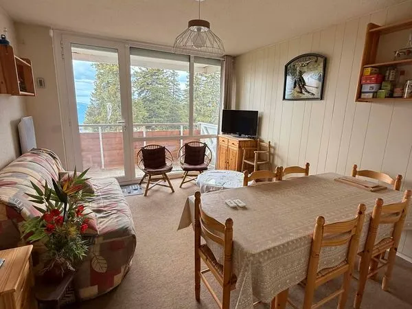 À vendre - Appartement rénové 32 m² avec Chambre et cave