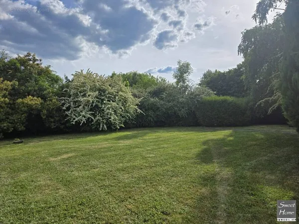 Terrain 540 m²