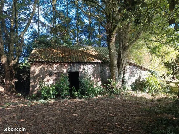 Location cabanon