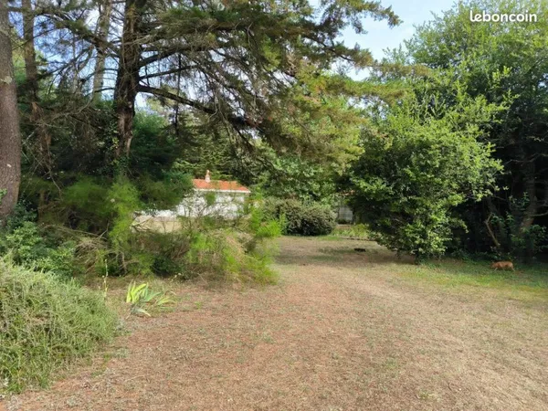 Maison 4 pièces 66 m²