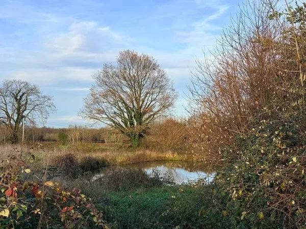 Terrain 6045 m²