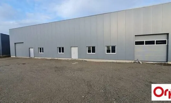 Local d'activité 1 pièce 280 m²