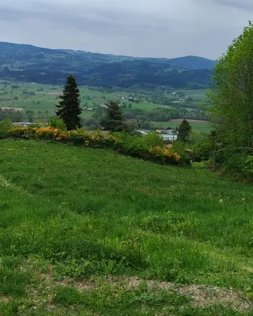 Terrain constructible