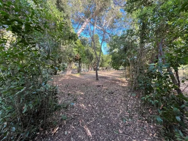 Terrain 431 m²