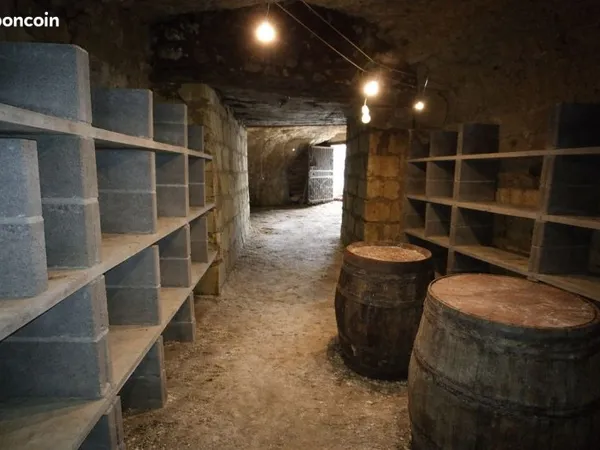 Cave troglodyte authentique + 1300 m² de nature - Benais / Bourgueil - coup de coeur