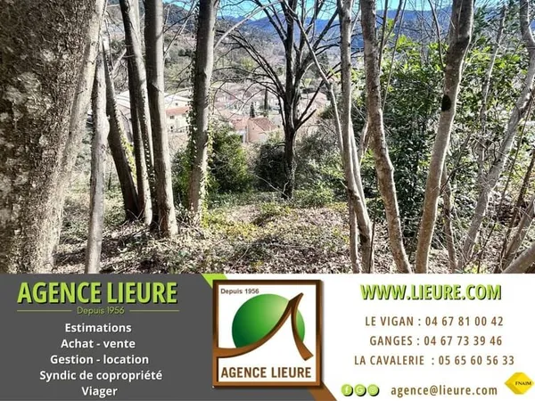 En Cévennes, Le vigan, terrain constructible, à vendre
